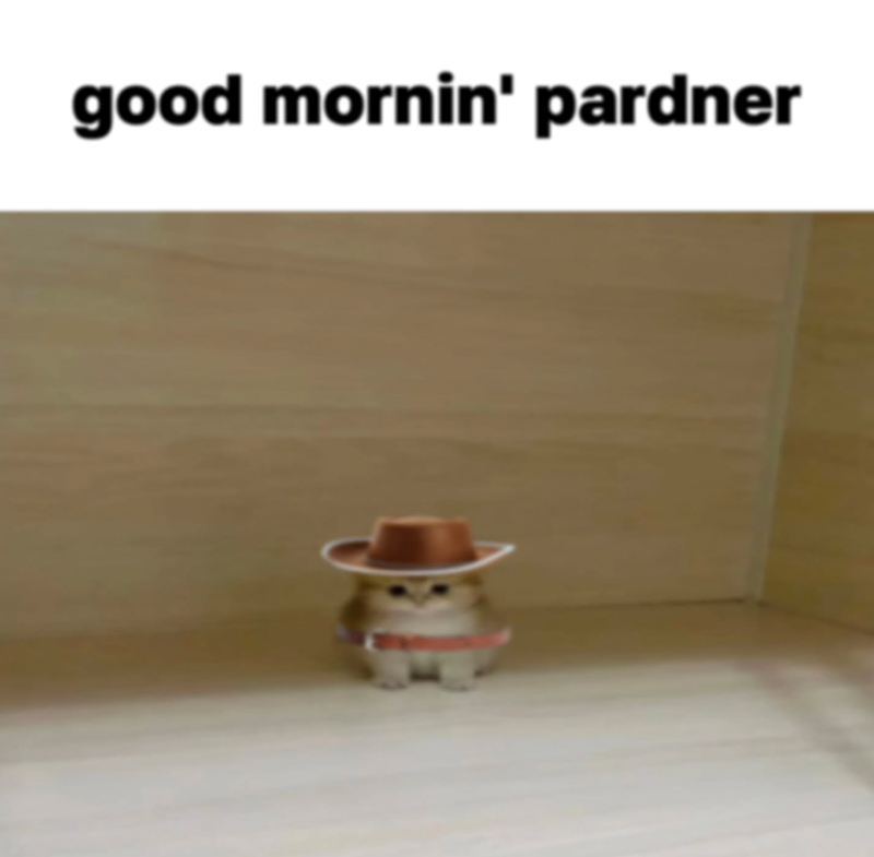 good mornin' pardner