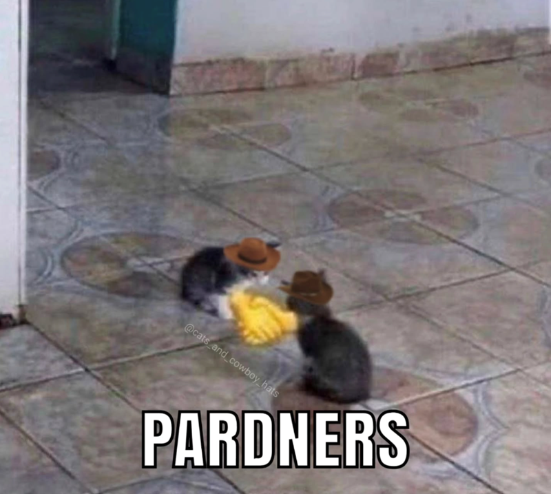 @cats_and_cowboy_hats PARDNERS
