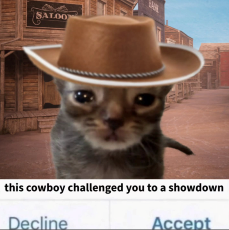 SALOO @cats and cowboy hats BANK this cowboy challenged you to a showdown Decline Accept
