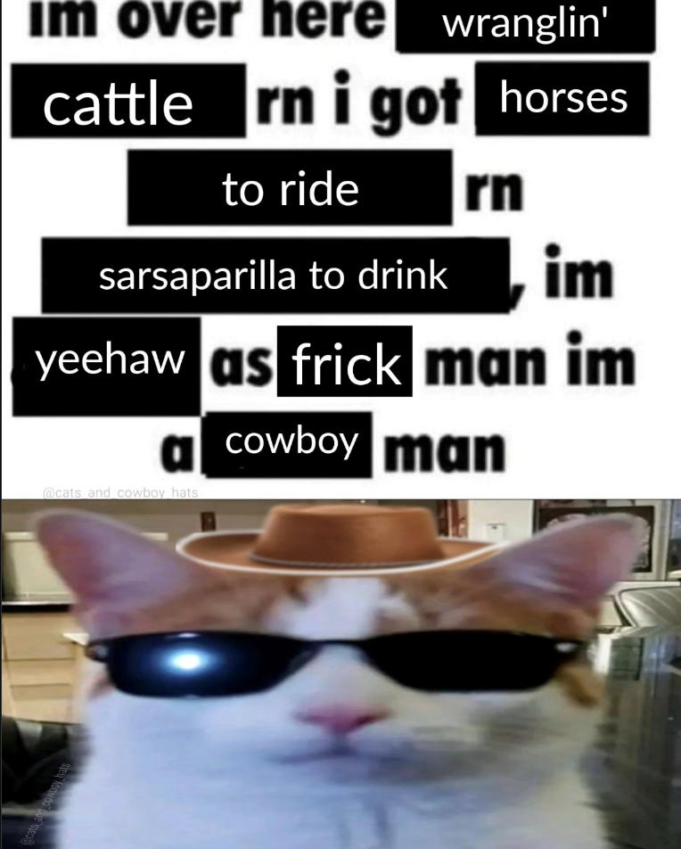 @cats and cowboy hats im over here wranglin' cattle rn i got horses to ride sarsaparilla to drink rn im yeehaw as frick man im cowboy man @cats and cowboy hats
