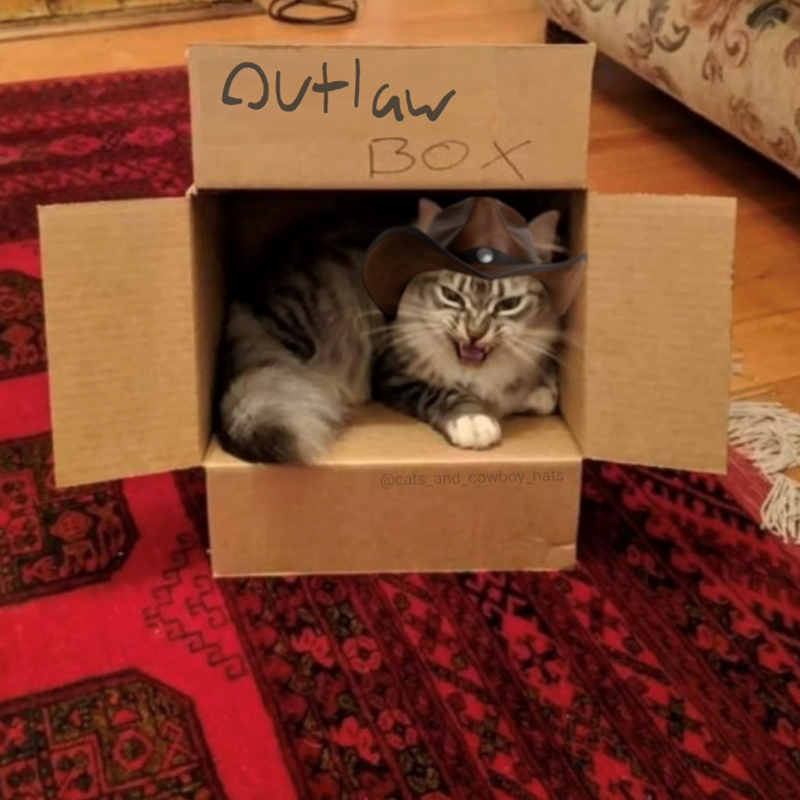 Outlaw BOX G 6 @cats_and_cowboy hats