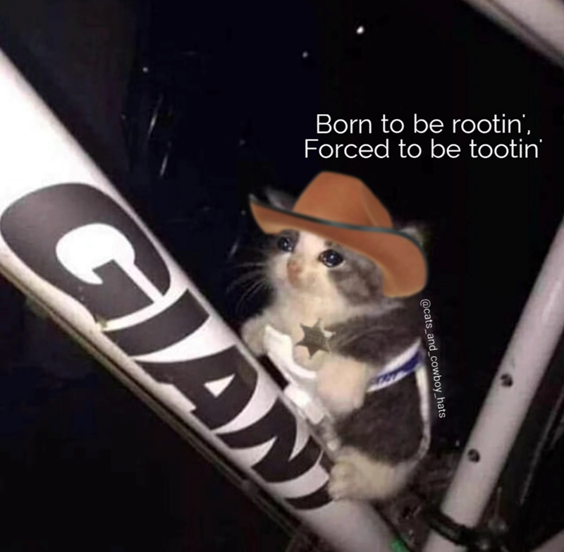 Born to be rootin', Forced to be tootin' @cats_and_cowboy_hats GIAN