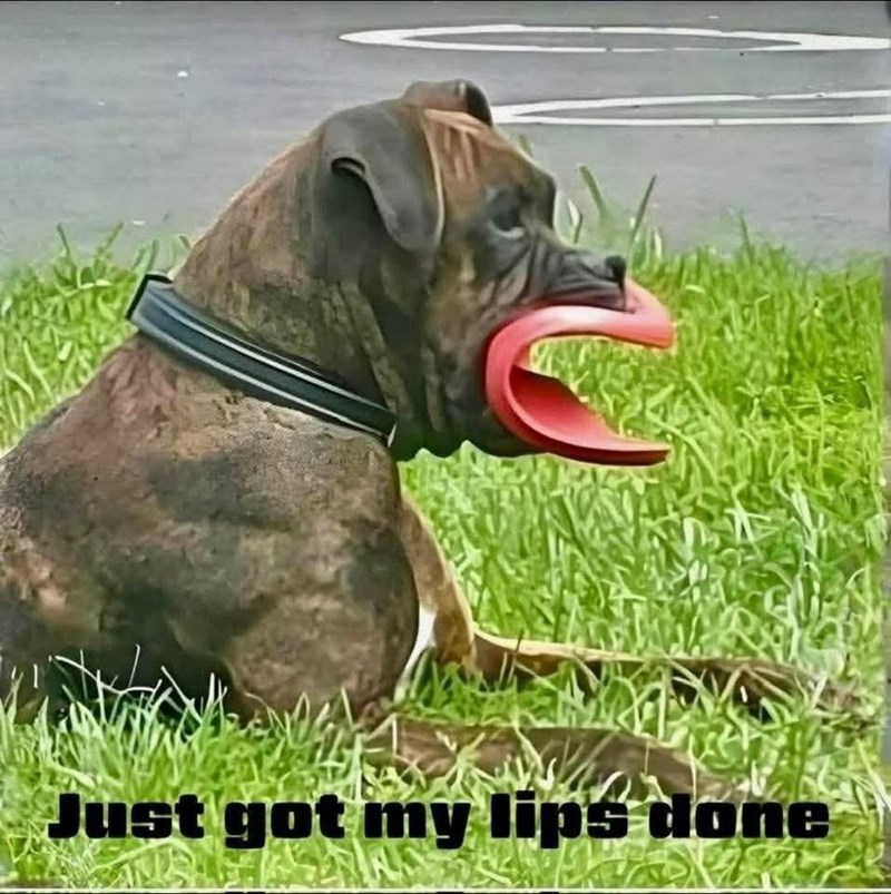 Just got my lips done