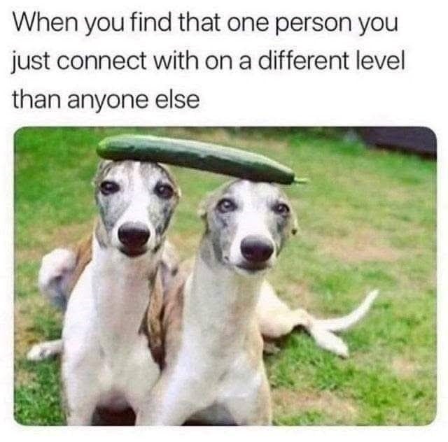 When you find that one person you just connect with on a different level than anyone else