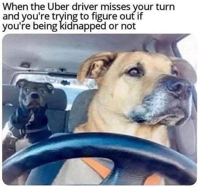 When the Uber driver misses your turn and you're trying to figure out if you're being kidnapped or not