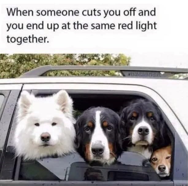 When someone cuts you off and you end up at the same red light together.