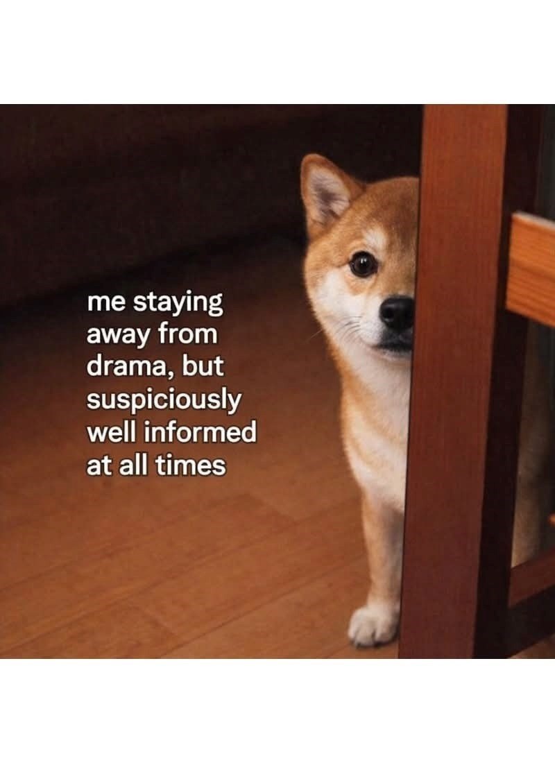 me staying away from drama, but suspiciously well informed at all times