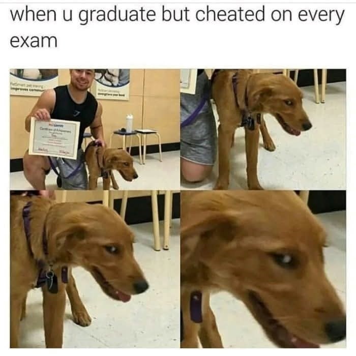 when u graduate but cheated on every exam