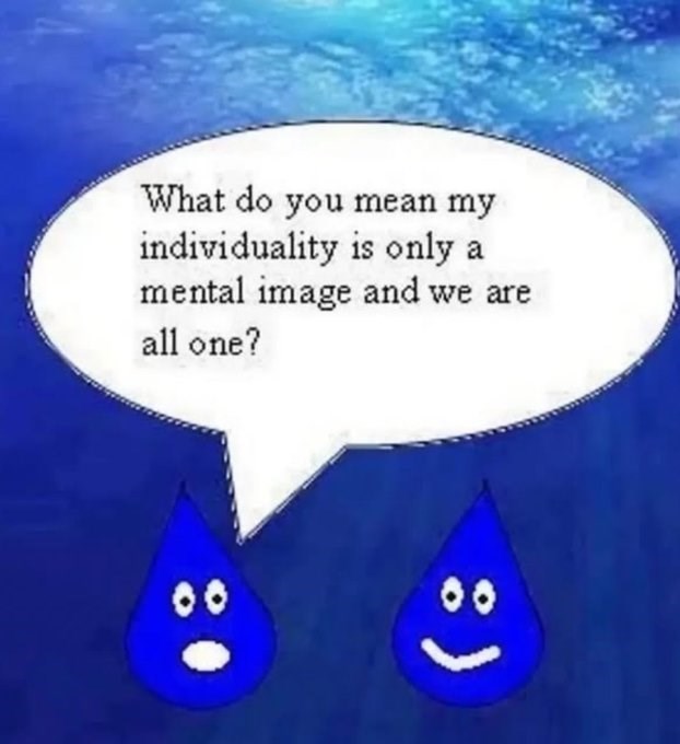 What do you mean my individuality is only a mental image and we are all one? 00