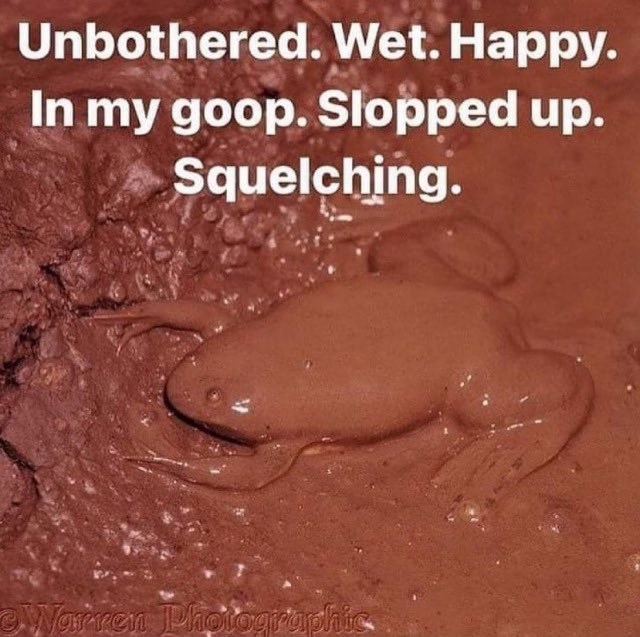 Unbothered. Wet. Happy. In my goop. Slopped up. Squelching. Warren Photographic
