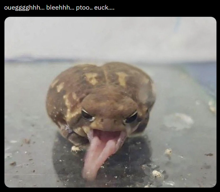 ouegggghhh... bleehhh... ptoo.. euck....