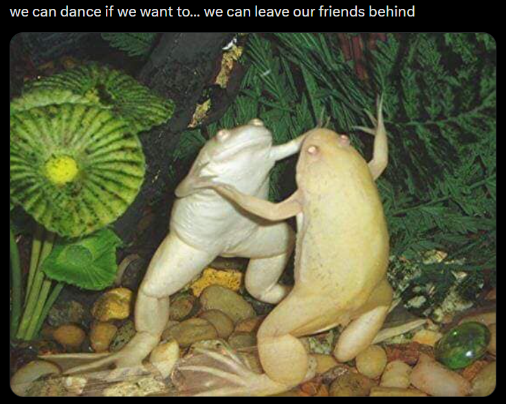 we can dance if we want to... we can leave our friends behind