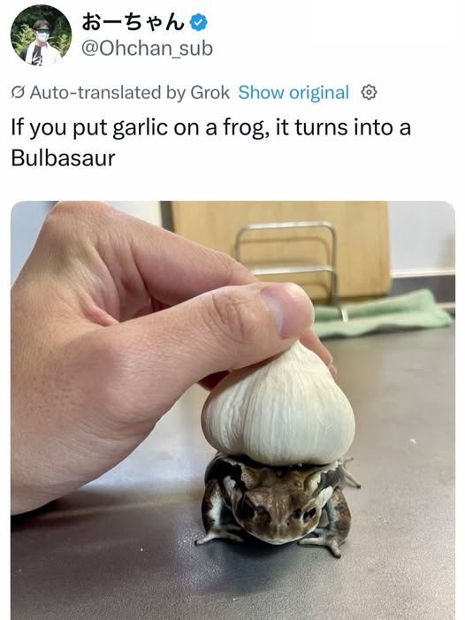 おーちゃん @Ohchan_sub Auto-translated by Grok Show original If you put garlic on a frog, it turns into a Bulbasaur