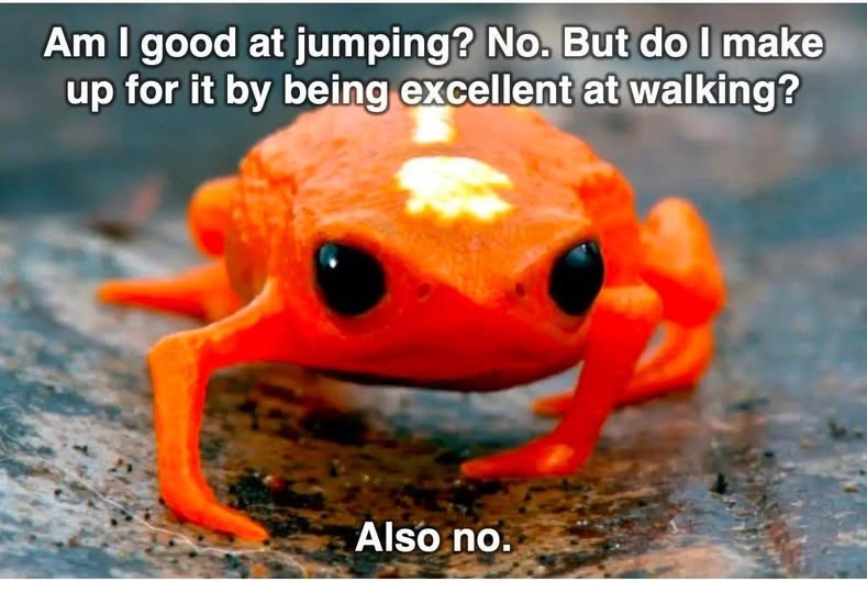 Am I good at jumping? No. But do I make up for it by being excellent at walking? Also no.