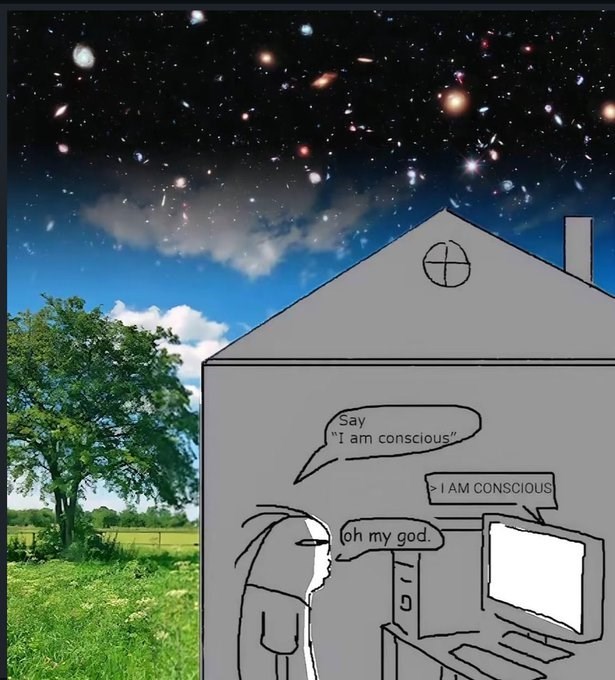 Say "I am conscious" (oh my god. AM CONSCIOUS 110