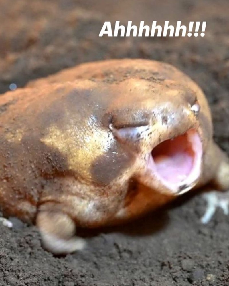 Ahhhhhh!!!