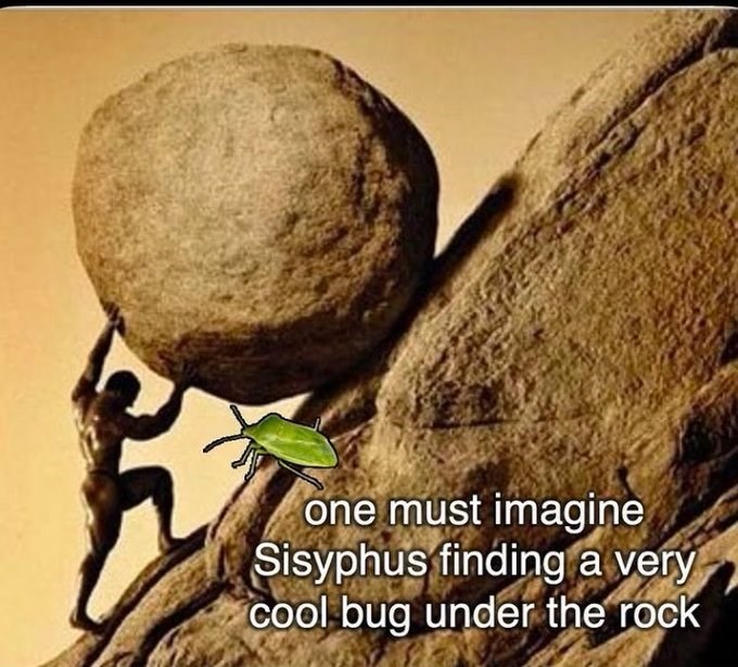one must imagine Sisyphus finding a very cool bug under the rock