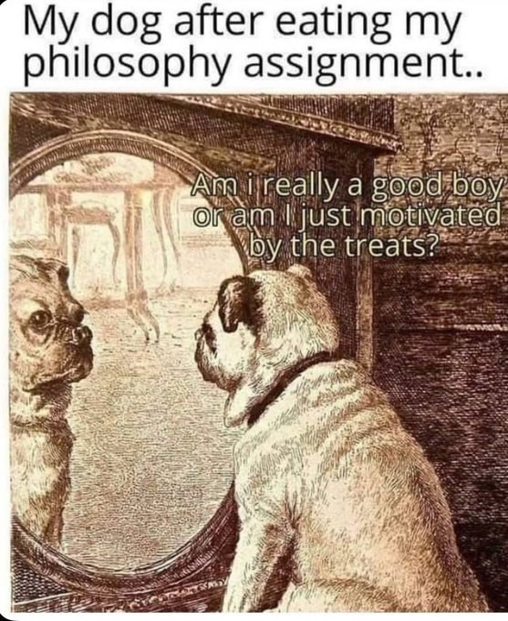 My dog after eating my philosophy assignment.. Am i really a good boy or am just motivated by the treats?