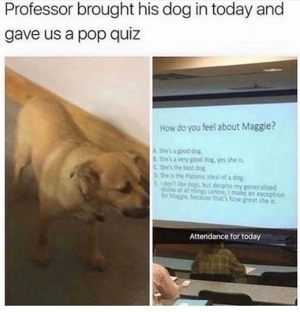 Professor brought his dog in today and gave us a pop quiz How do you feel about Maggie? A. She's a good dog 8. She's a very good dog, yes she is C. She's the best dog D. She is the Platonic ideal of a dog EI don't like dogs, but despite my generalized dislike of all things canine, I make an exception for Maggie, because that's how great she is. Attendance for today