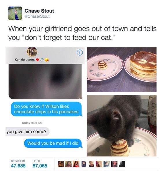Chase Stout @ChaserStout When your girlfriend goes out of town and tells you "don't forget to feed our cat." Kenzie Jones Do you know if Wilson likes chocolate chips in his pancakes Today 9:01 AM you give him some? Would you be mad if I did RETWEETS LIKES 47,635 87,065