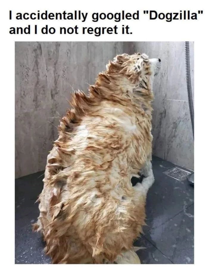 I accidentally googled "Dogzilla" and I do not regret it.