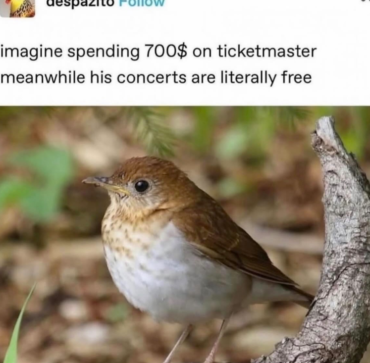despazit imagine spending 700$ on ticketmaster meanwhile his concerts are literally free