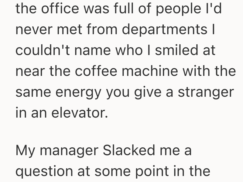 the office was full of people I'd never met from departments I couldn't name who I smiled at near the coffee machine with the same energy you give a stranger in an elevator. My manager Slacked me a question at some point in the