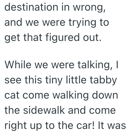 destination in wrong, and we were trying to get that figured out. While we were talking, I see this tiny little tabby cat come walking down the sidewalk and come right up to the car! It was