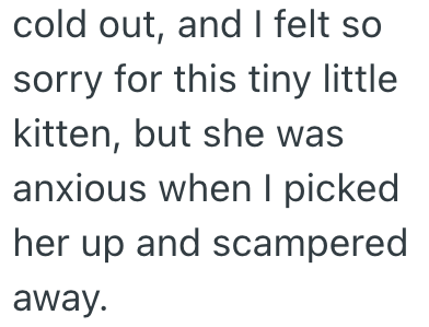 cold out, and I felt so sorry for this tiny little kitten, but she was anxious when I picked her up and scampered away.