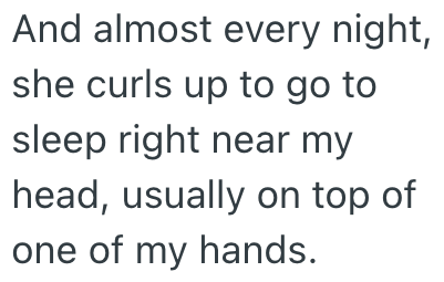 And almost every night, she curls up to go to sleep right near my head, usually on top of one of my hands.
