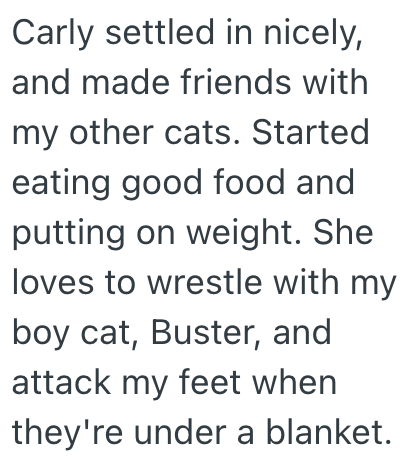 Carly settled in nicely, and made friends with my other cats. Started eating good food and putting on weight. She loves to wrestle with my boy cat, Buster, and attack my feet when they're under a blanket.