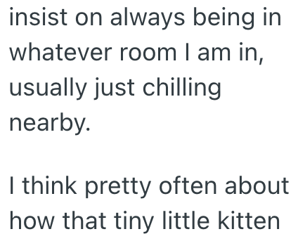 insist on always being in whatever room I am in, usually just chilling nearby. I think pretty often about how that tiny little kitten
