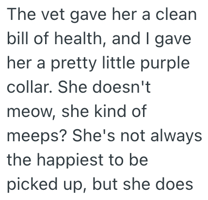 The vet gave her a clean bill of health, and I gave her a pretty little purple collar. She doesn't meow, she kind of meeps? She's not always the happiest to be picked up, but she does