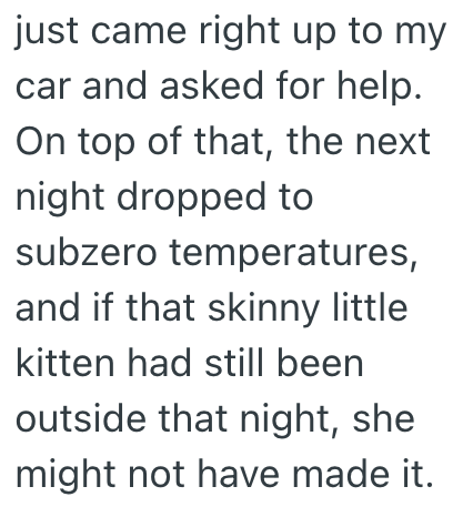 just came right up to my car and asked for help. On top of that, the next night dropped to subzero temperatures, and if that skinny little kitten had still been outside that night, she might not have made it.