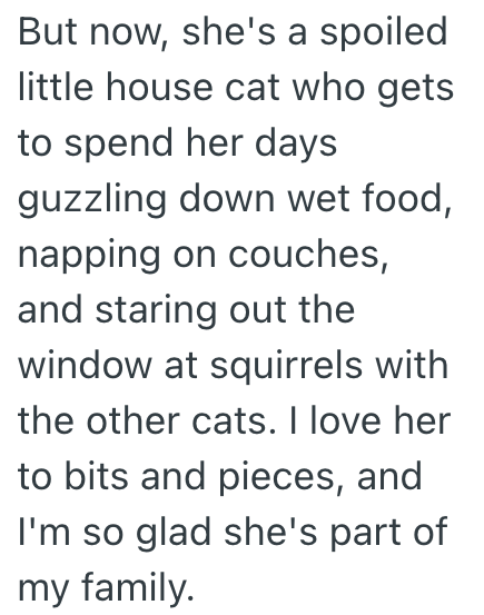 But now, she's a spoiled little house cat who gets to spend her days guzzling down wet food, napping on couches, and staring out the window at squirrels with the other cats. I love her to bits and pieces, and I'm so glad she's part of my family.