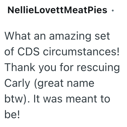 NellieLovettMeatPies ⚫ What an amazing set of CDS circumstances! Thank you for rescuing Carly (great name btw). It was meant to be!