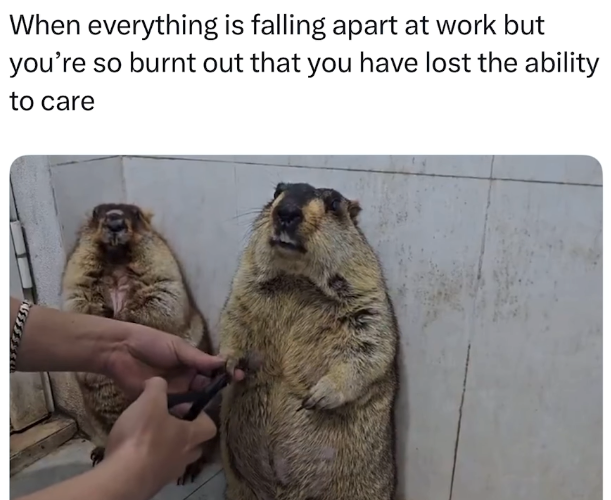 When everything is falling apart at work but you're so burnt out that you have lost the ability to care