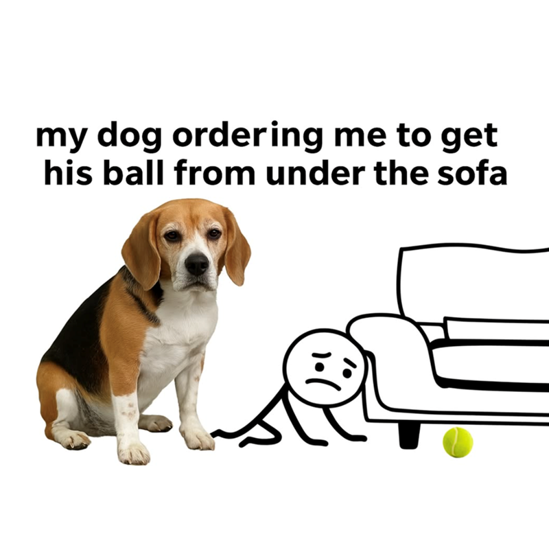 my dog ordering me to get his ball from under the sofa