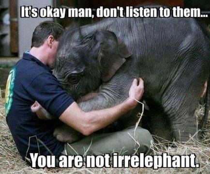 It's okay man, don't listen to them... You are not irrelephant.