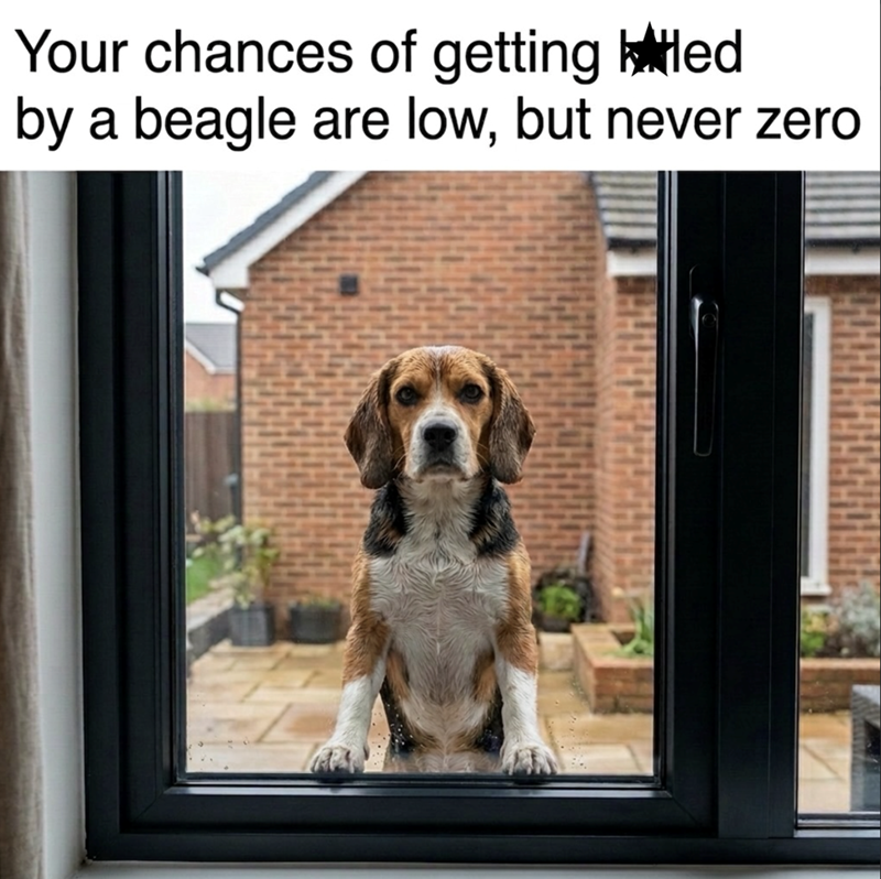 Your chances of getting billed by a beagle are low, but never zero