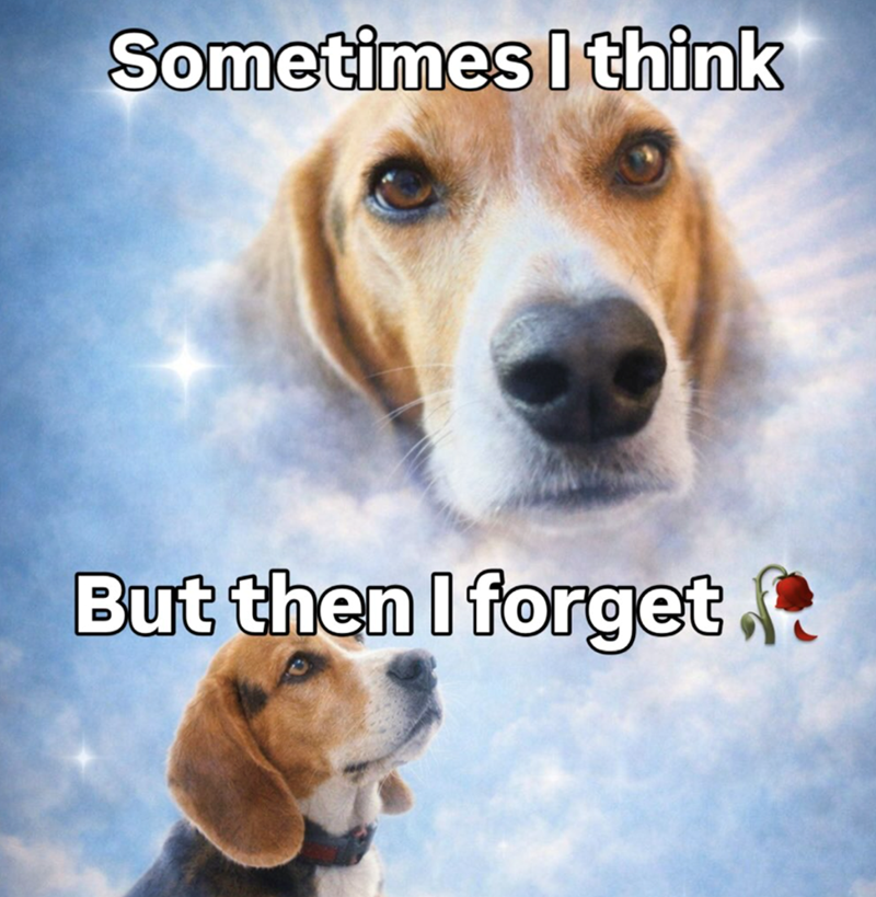 Sometimes I think But then I forget.