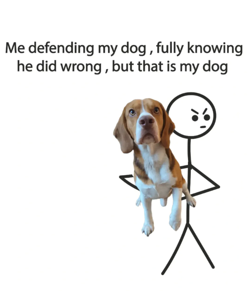 Me defending my dog, fully knowing he did wrong, but that is my dog