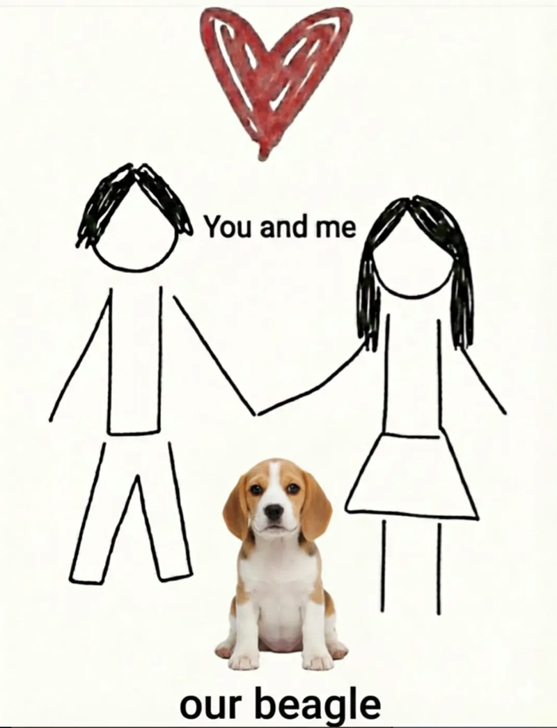 You and me our beagle
