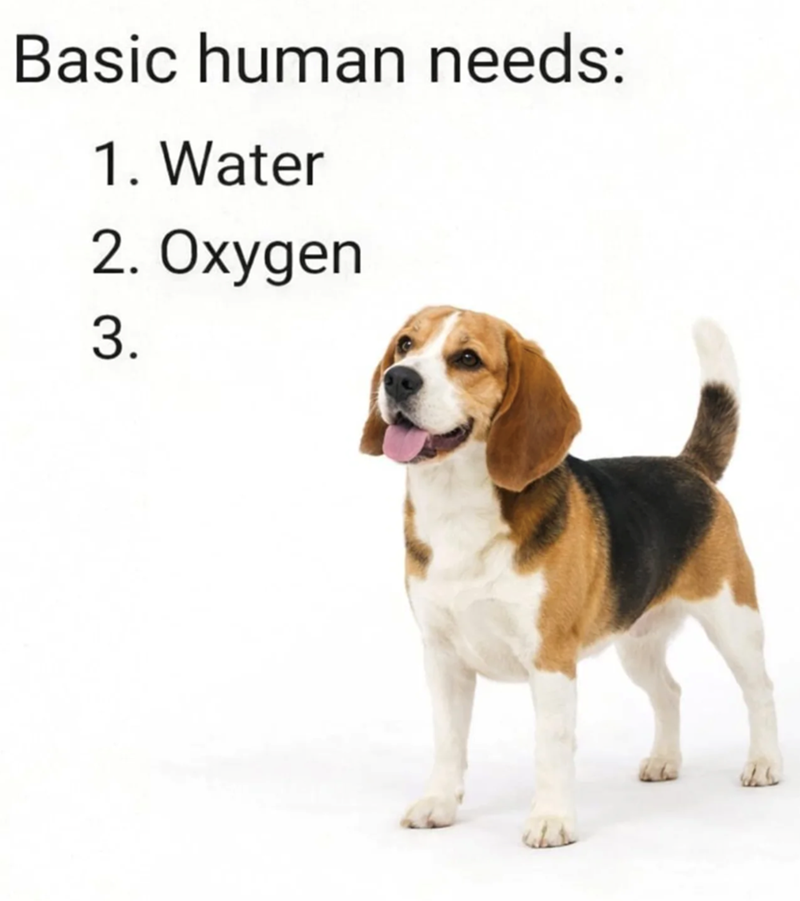 Basic human needs: 1. Water 2. Oxygen 3.