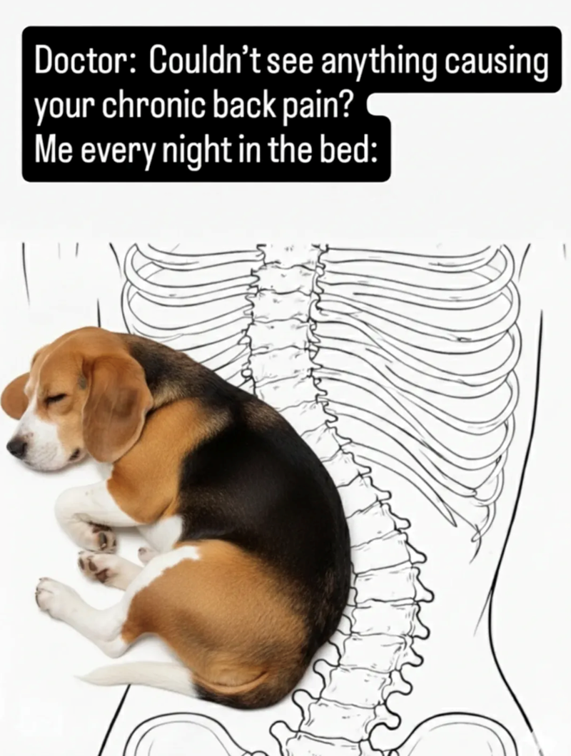 Doctor: Couldn't see anything causing your chronic back pain? Me every night in the bed: