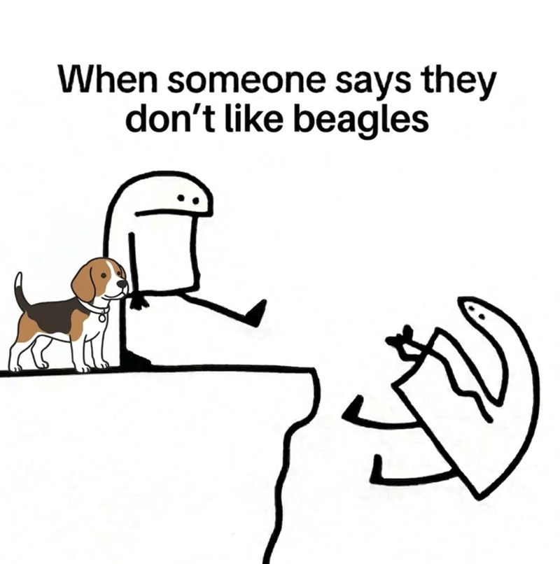 When someone says they don't like beagles