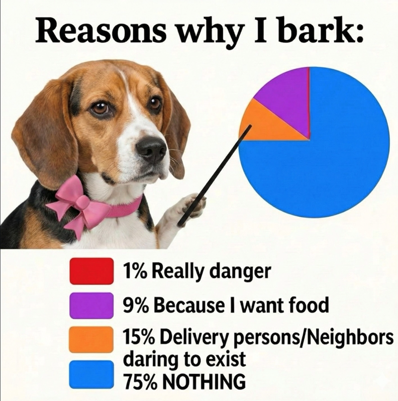 Reasons why I bark: 1% Really danger 9% Because I want food 15% Delivery persons/Neighbors daring to exist 75% NOTHING