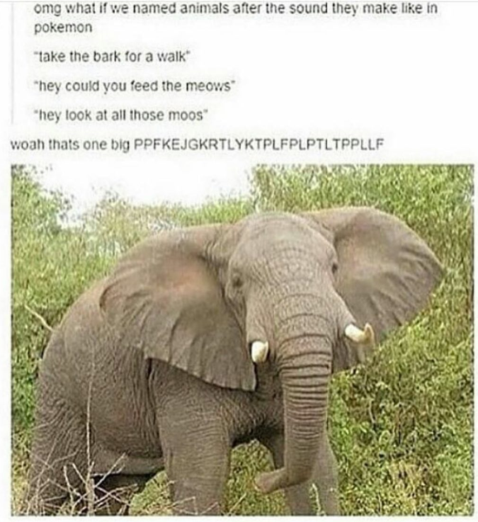 omg what if we named animals after the sound they make like in pokemon "take the bark for a walk" "hey could you feed the meows" "hey look at all those moos" woah thats one big PPFKEJGKRTLYKTPLFPLPTLTPPLLF
