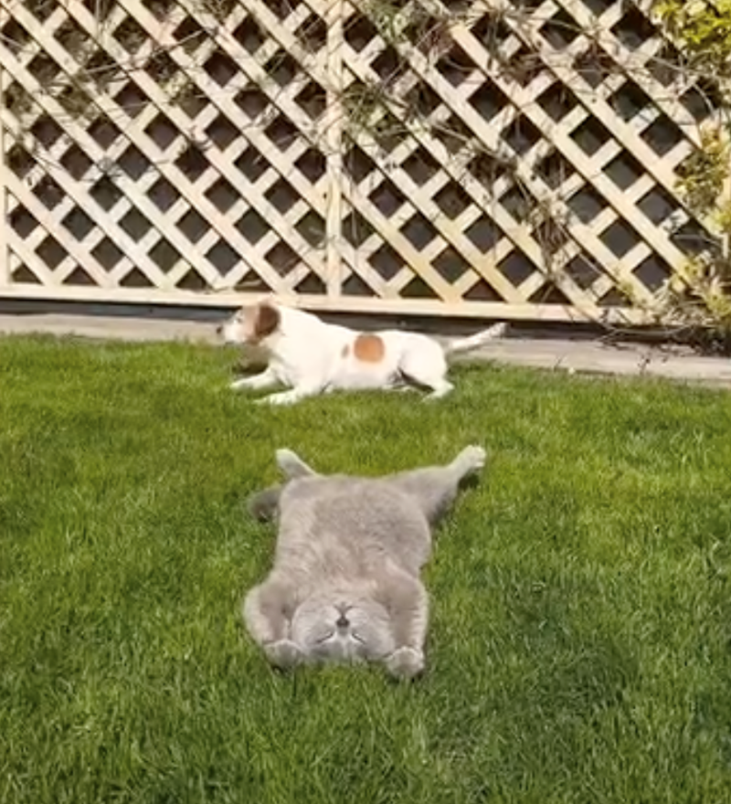 T T
