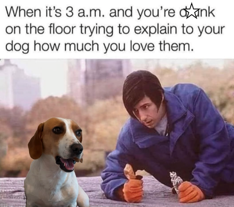 When it's 3 a.m. and you're dank on the floor trying to explain to your dog how much you love them.